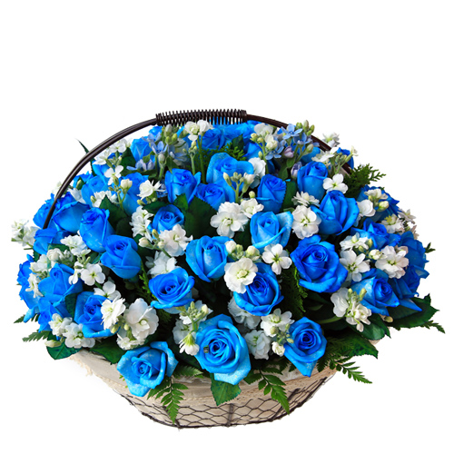 파란장미 꽃바구니