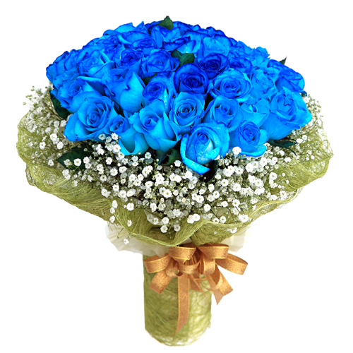 성년의 날 장미꽃다발 로즈데이 파란장미
