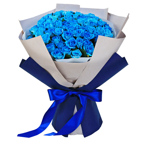 파란장미 파란색 장미
