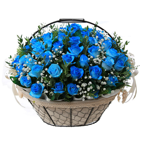 장미꽃 100송이 꽃바구니 파란장미