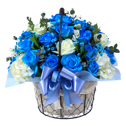 파란장미 승진 꽃바구니 생일축하 꽃바구니 꽃배달