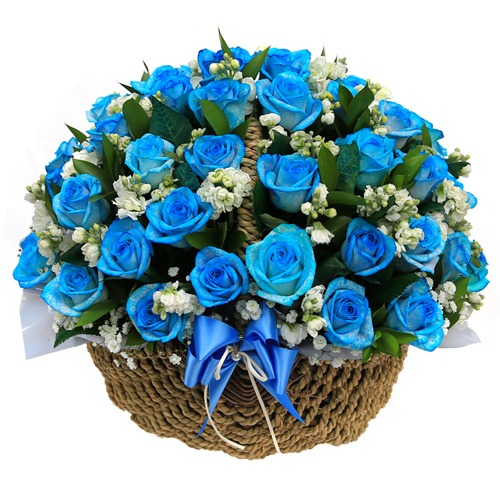 파란장미 생일꽃바구니 꽃배달