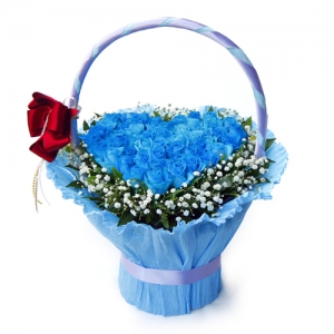 파란장미 생일꽃바구니 결혼기념일꽃