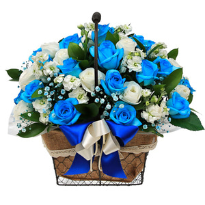 파란색 장미 꽃바구니 파란꽃