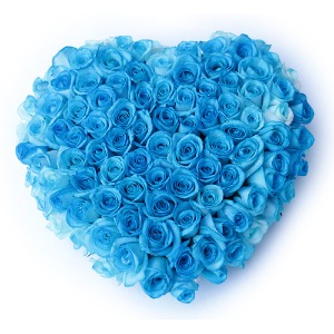 파란장미 꽃박스 꽃배달