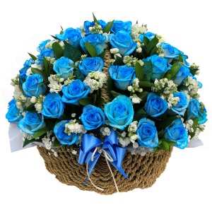 파란장미 전시회 결혼기념일 개업 출판기념 꽃바구니 꽃배달