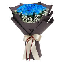 블루로즈(Blue rose) 파란장미