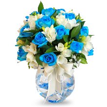 파란장미 로즈데이 성년의날 장미 꽃배달