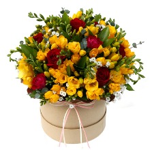 후리지아 프리지아 출산꽃바구니 생일축하 꽃바구니 꽃배달