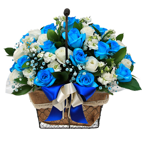 파란색 장미 꽃바구니 파란꽃