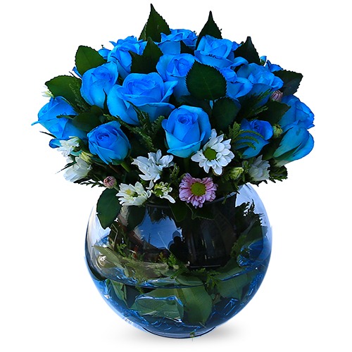 블루로즈 개업 상견례 은퇴 퇴직 합격 꽃바구니 결혼기념일 화이트데이 꽃배달 파란장미